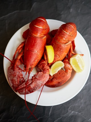 red lobster on white ceramic plate