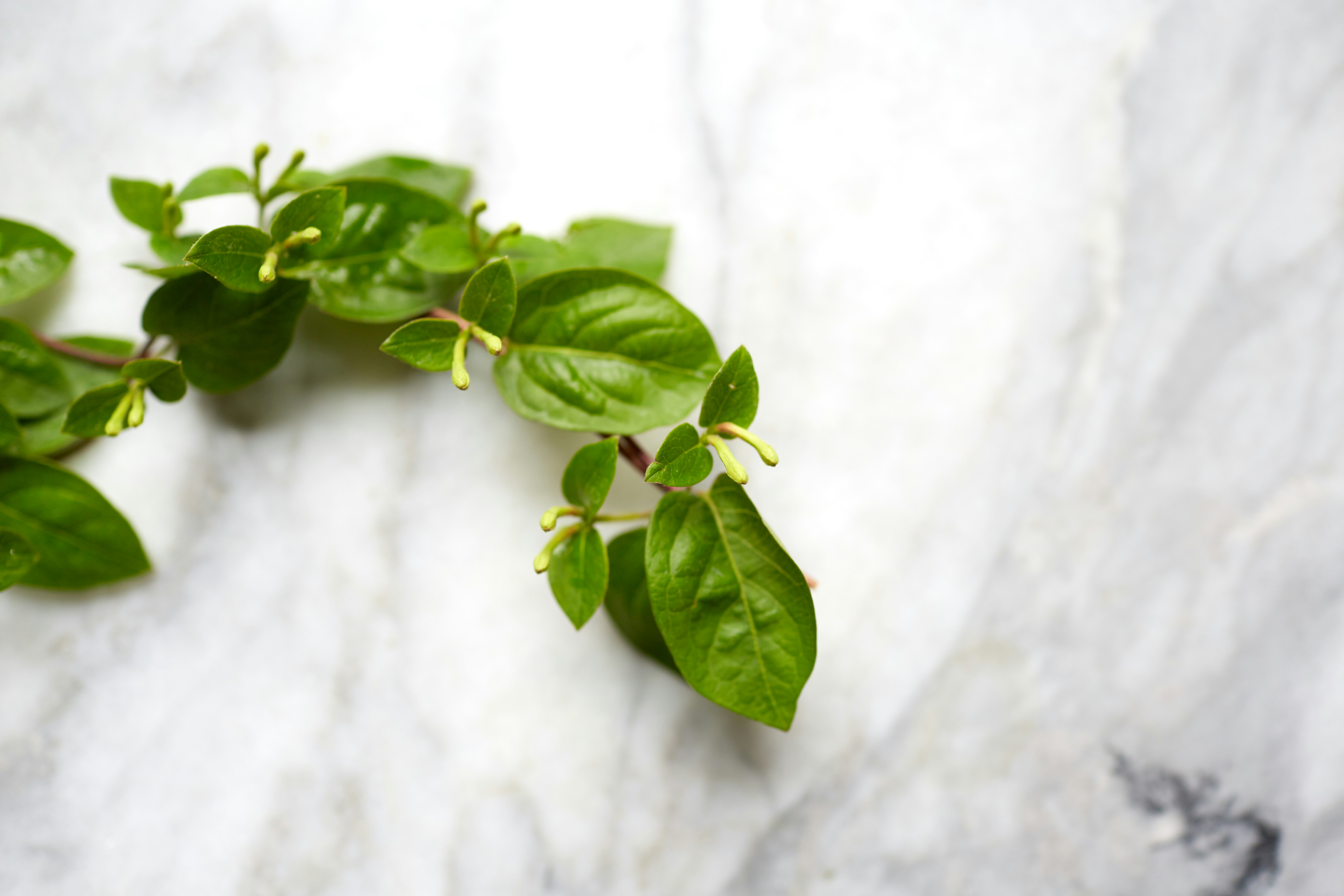 Photo by davidtoddmccarty