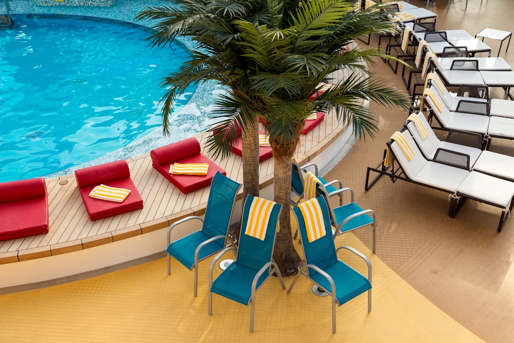 blue and white lounge chairs near swimming pool