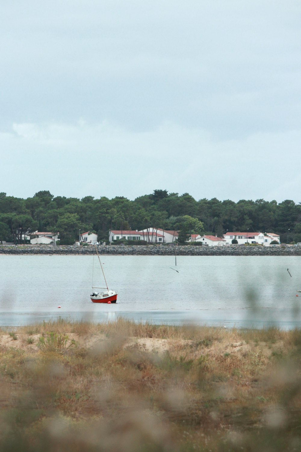 red and white boat on water during daytime