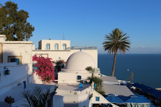 white concrete building near body of water during daytime