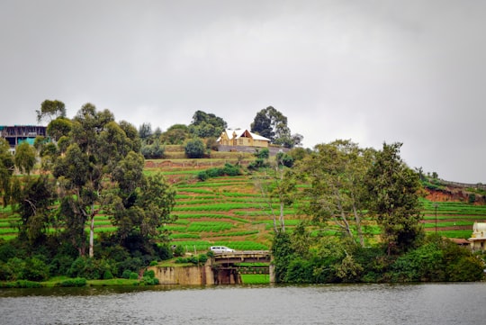 green trees near body of water during daytime in Ooty India