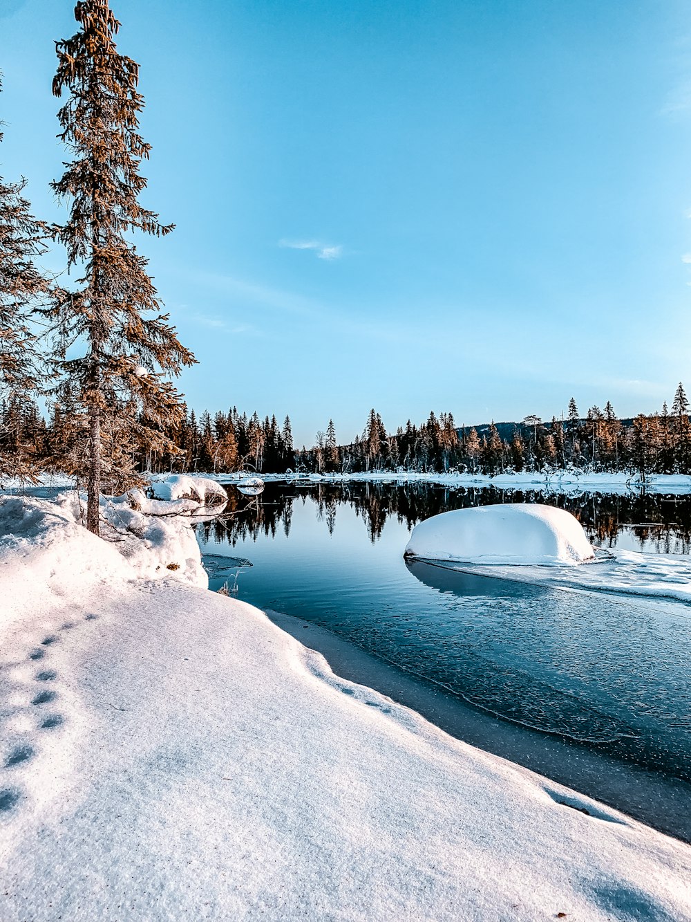 white boat on snow covered ground near trees during daytime