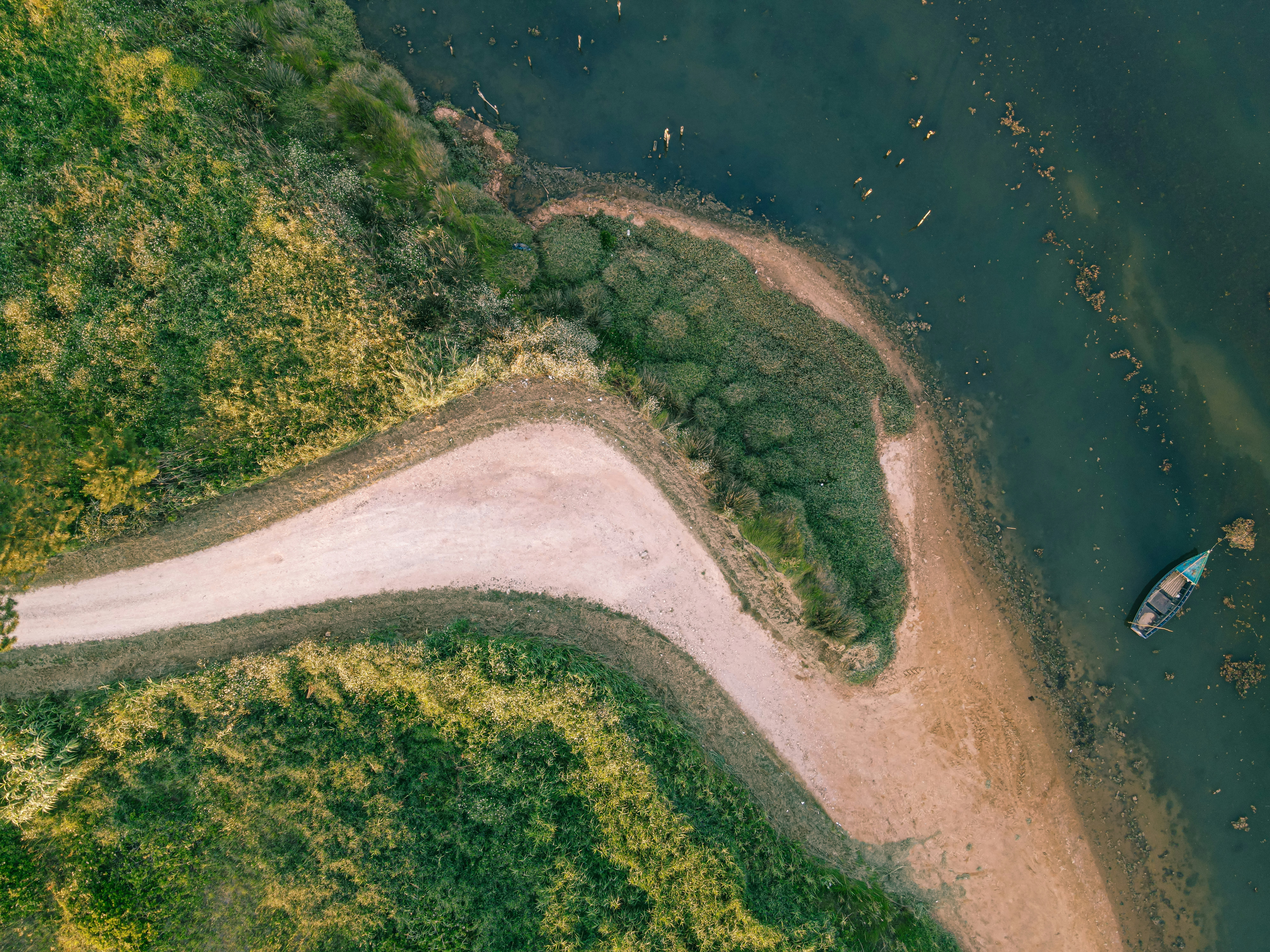 aerial view of green trees and river
