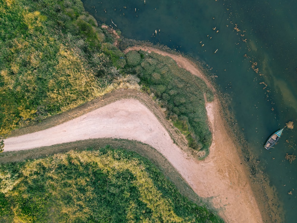 aerial view of green trees and river