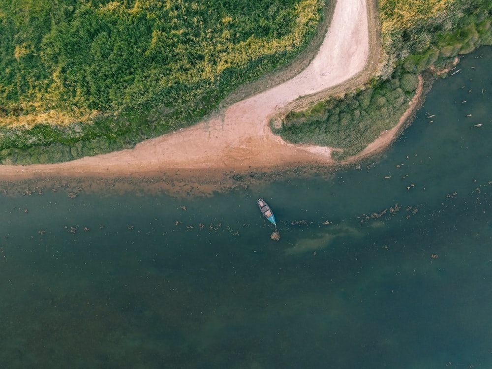 aerial view of green trees and river during daytime