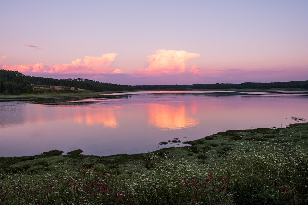 body of water near green grass field during sunset