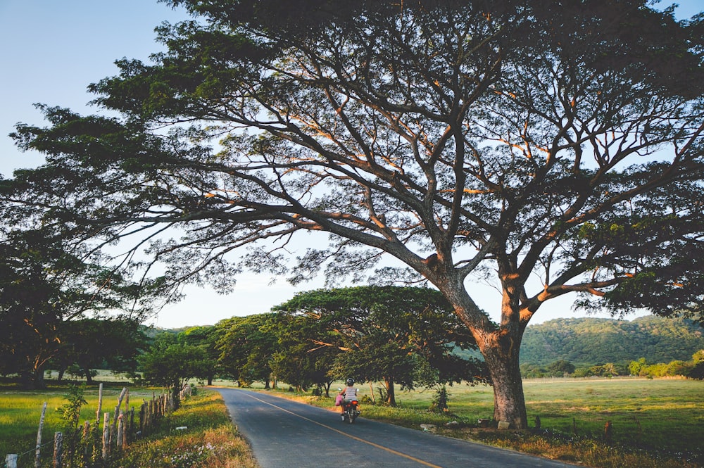 pessoa em jaqueta preta andando na estrada de asfalto cinza durante o dia