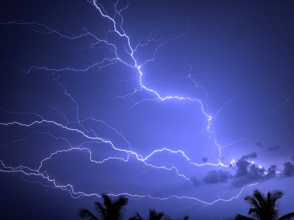 a lightning storm is seen over palm trees