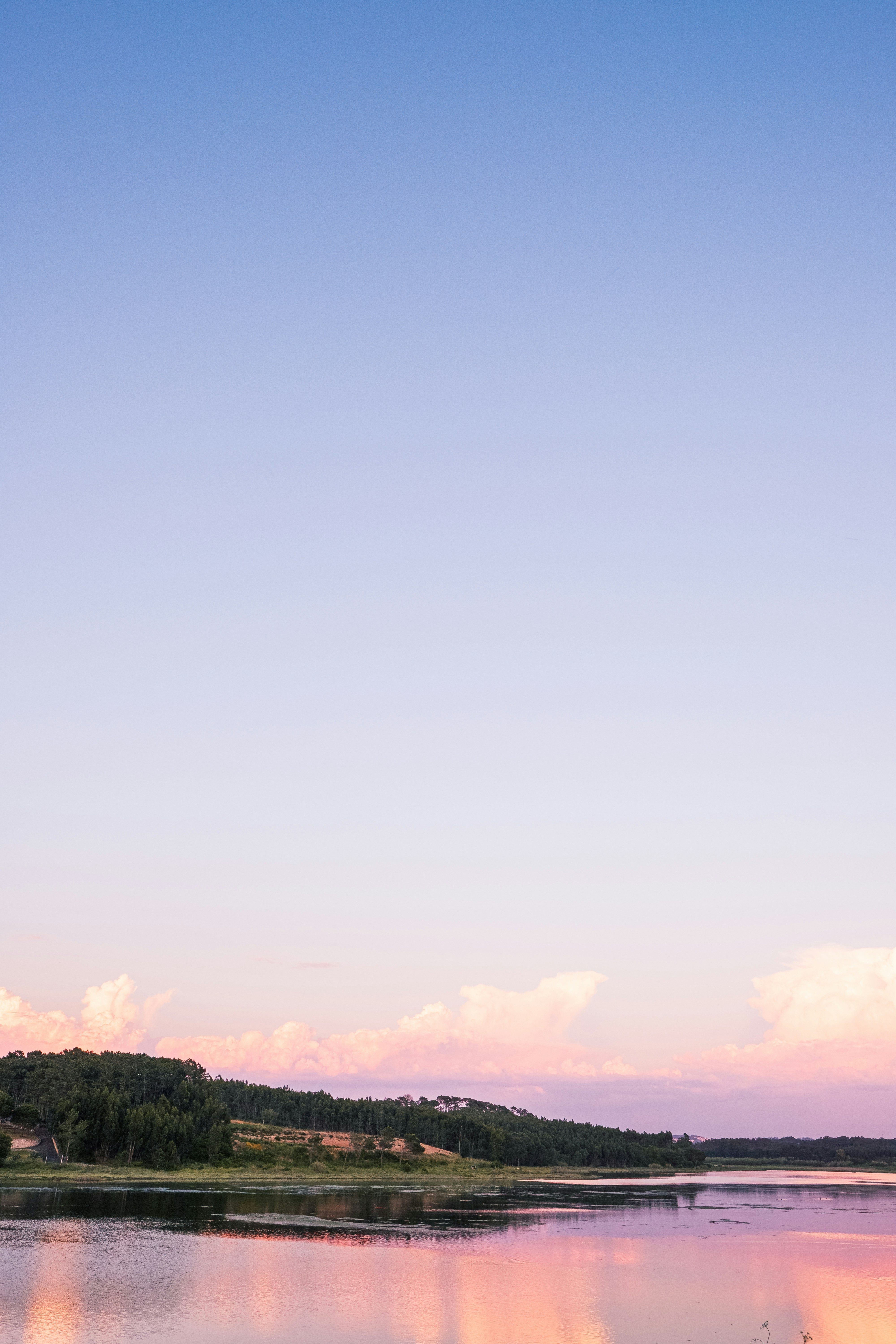 green trees under blue sky during daytime