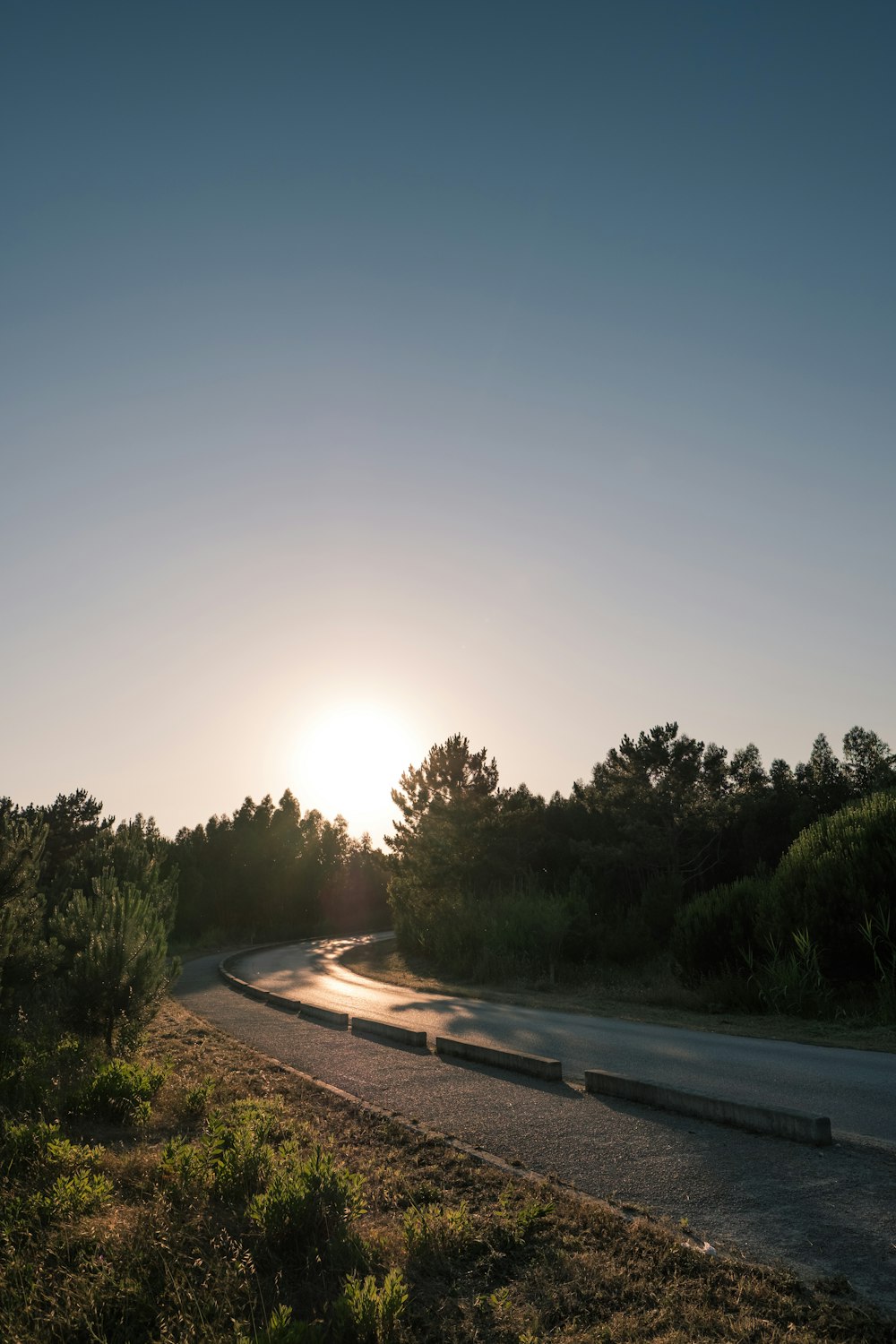 gray asphalt road between green trees under blue sky during daytime