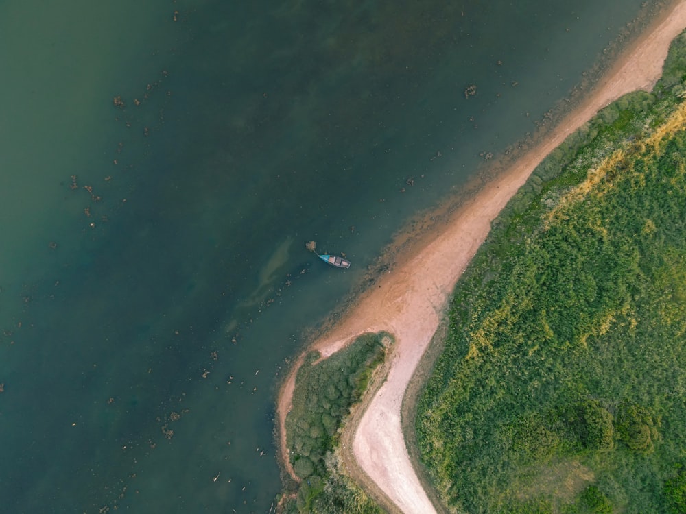 aerial view of green and brown field beside body of water during daytime