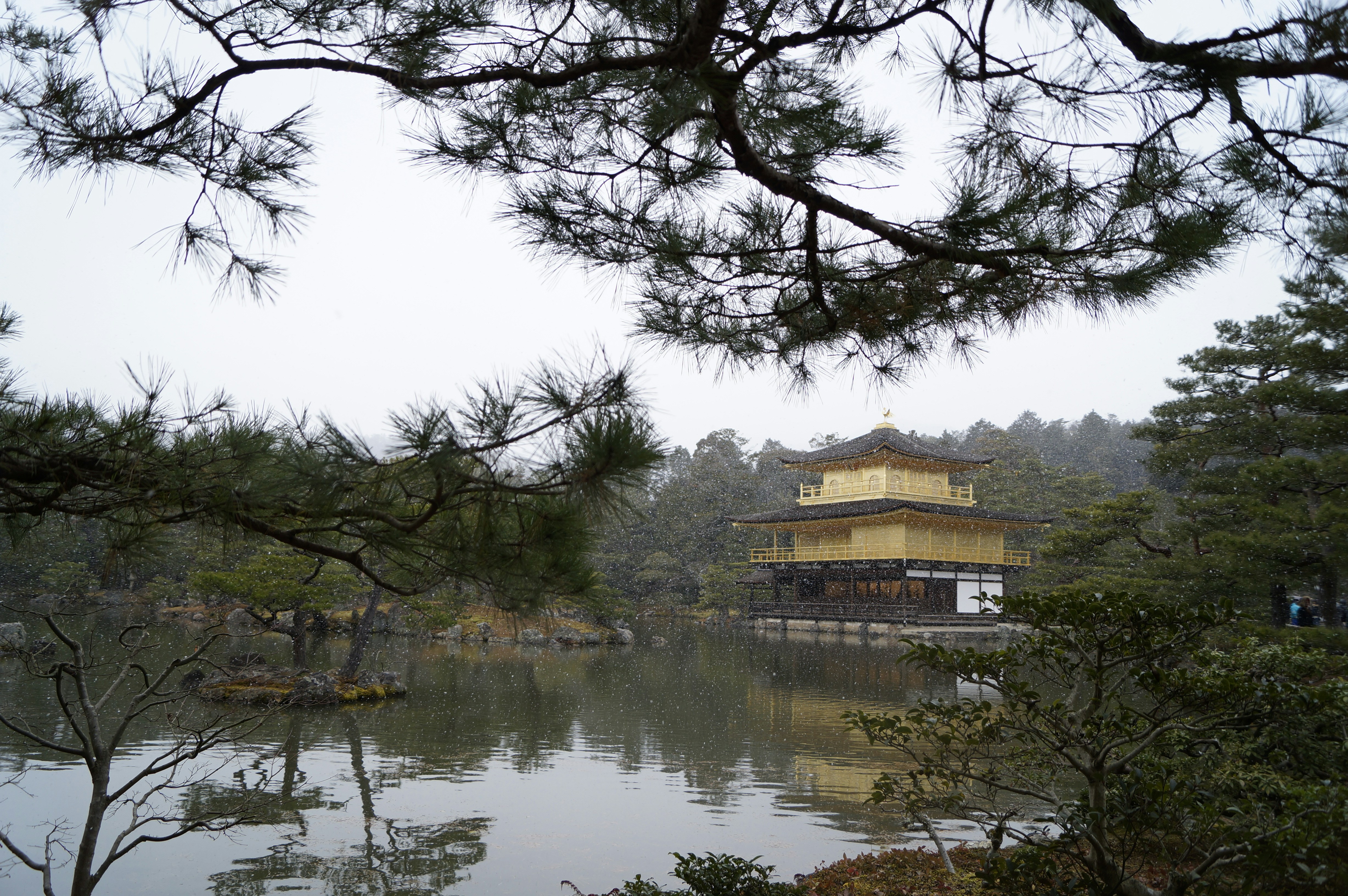 Photo by joshuaahicks