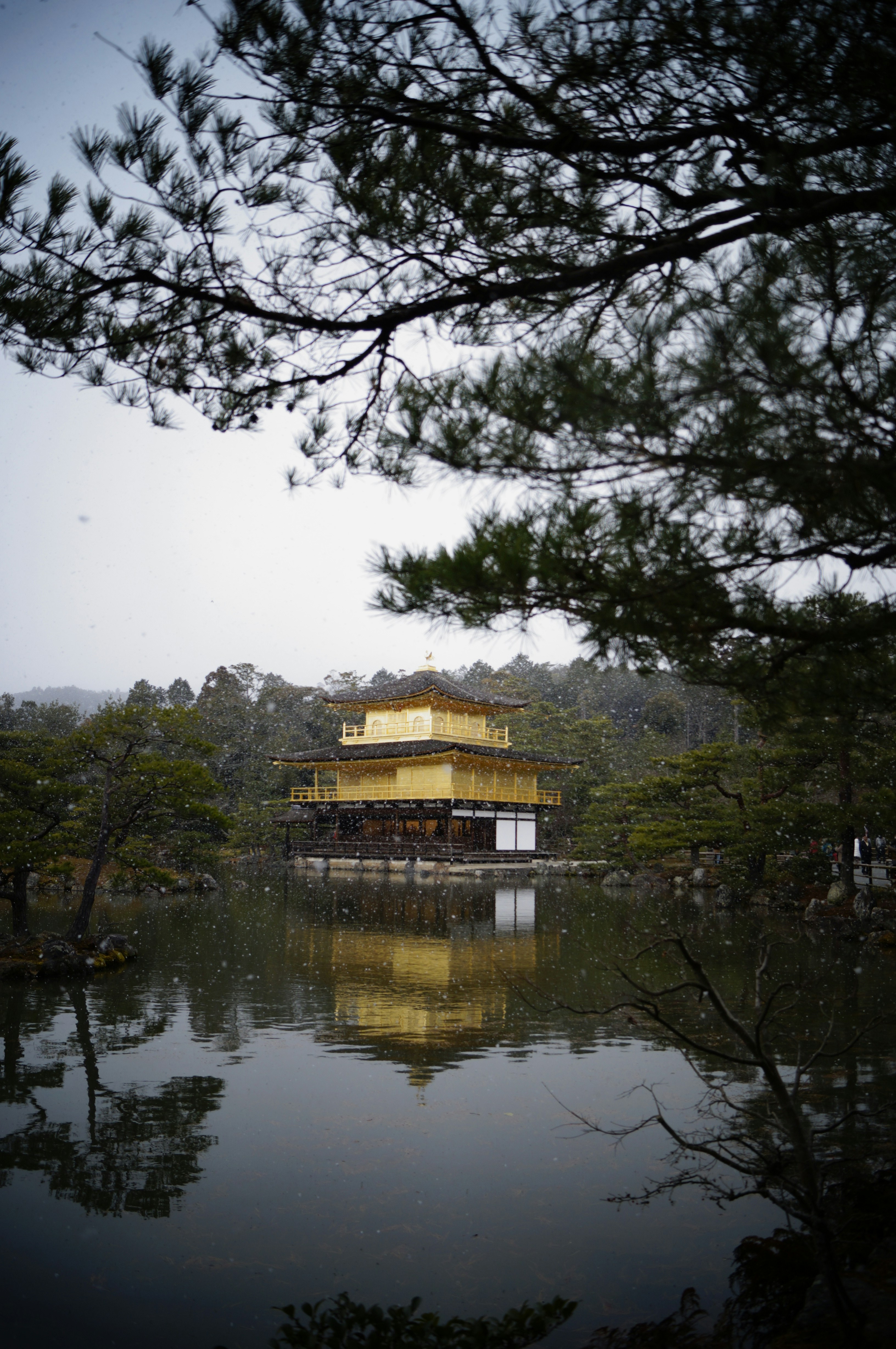 Photo by joshuaahicks