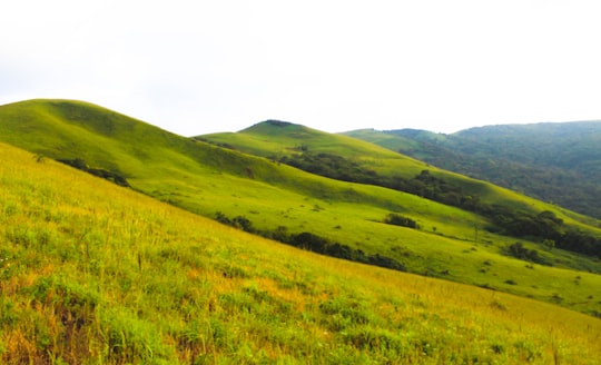 green grass field and mountain during daytime in Chikmagalur India