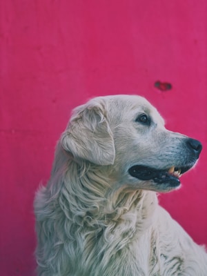 Photo 1590767949825 Eb5f3c8259d6?q=85&w=300&h=400&fit=crop