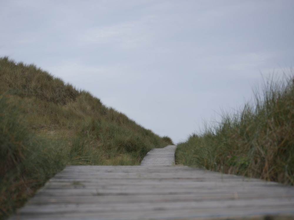 gray wooden pathway between green grass field under white sky during daytime