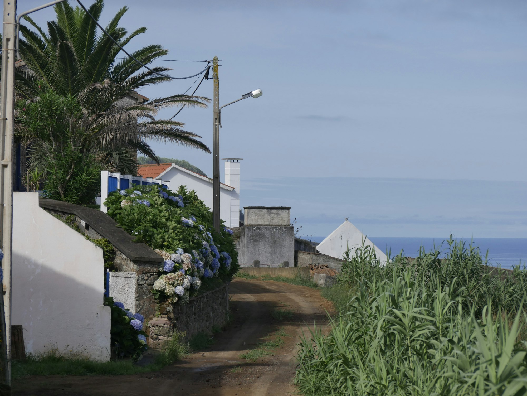 Small road overlooking the ocean.