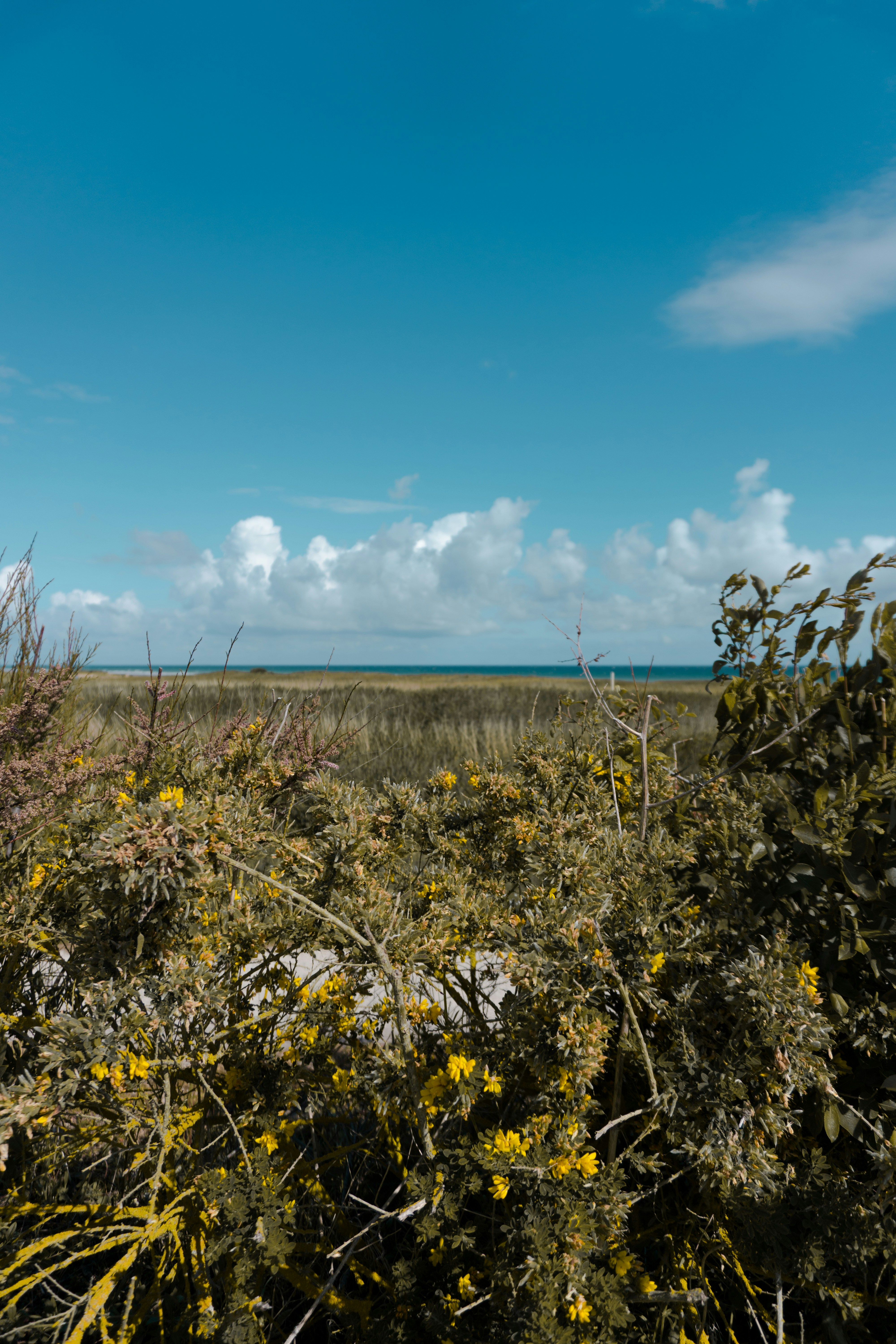 Photo by michelletan