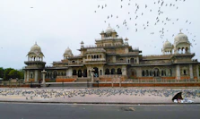 flock of birds flying over beige concrete building during daytime