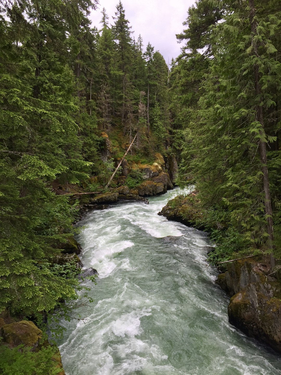 Mountain river photo spot Whistler Lynn Headwaters Regional Park