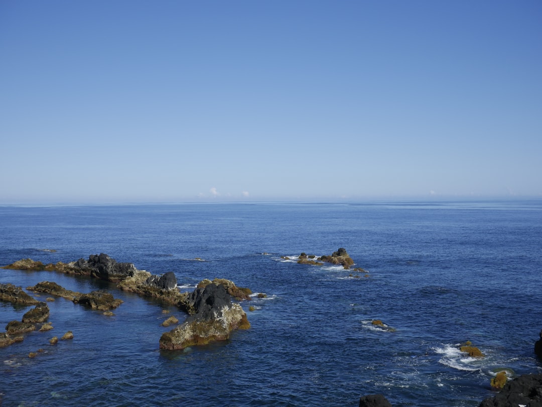 Shore photo spot Azores Ponta Delgada