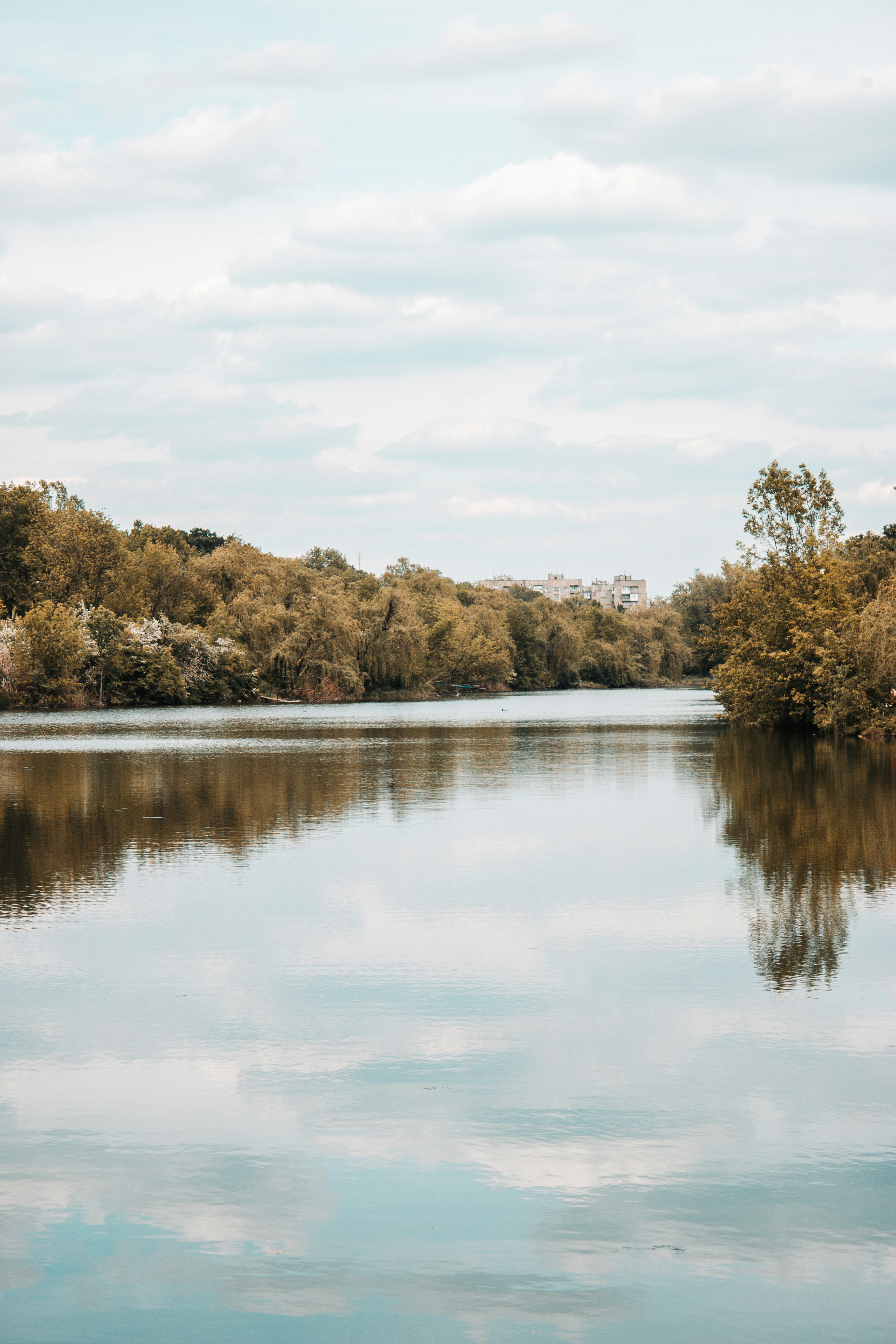 Why Ecosystems Collapse in Silence Before They Scream