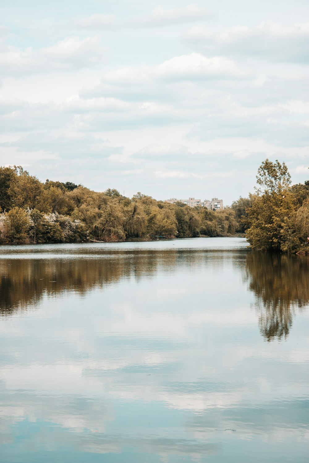 green trees beside lake under white clouds during daytime