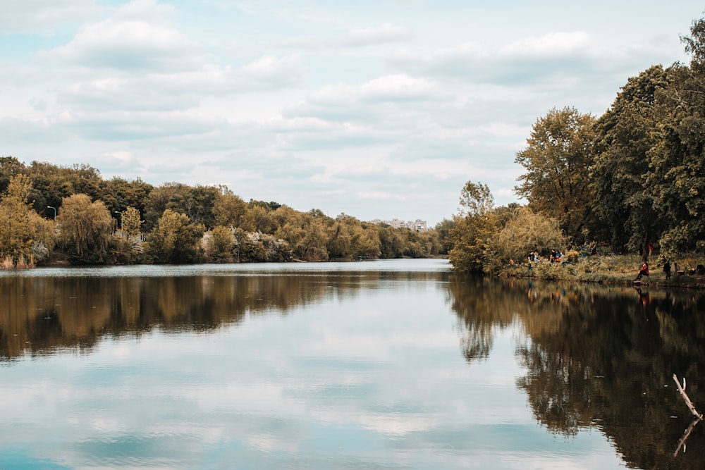 green trees beside lake under white clouds and blue sky during daytime