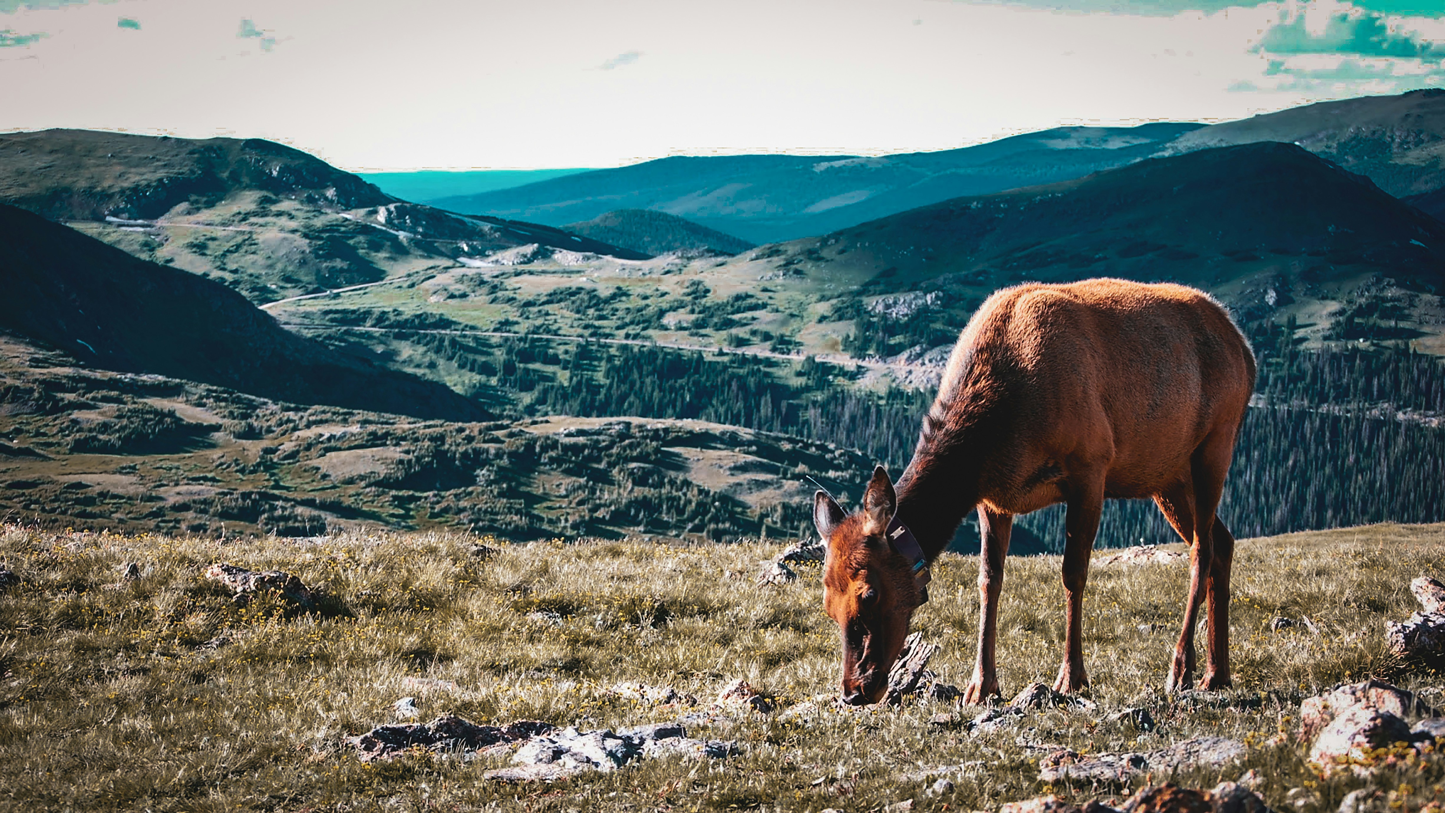 Containers in Elk, WA