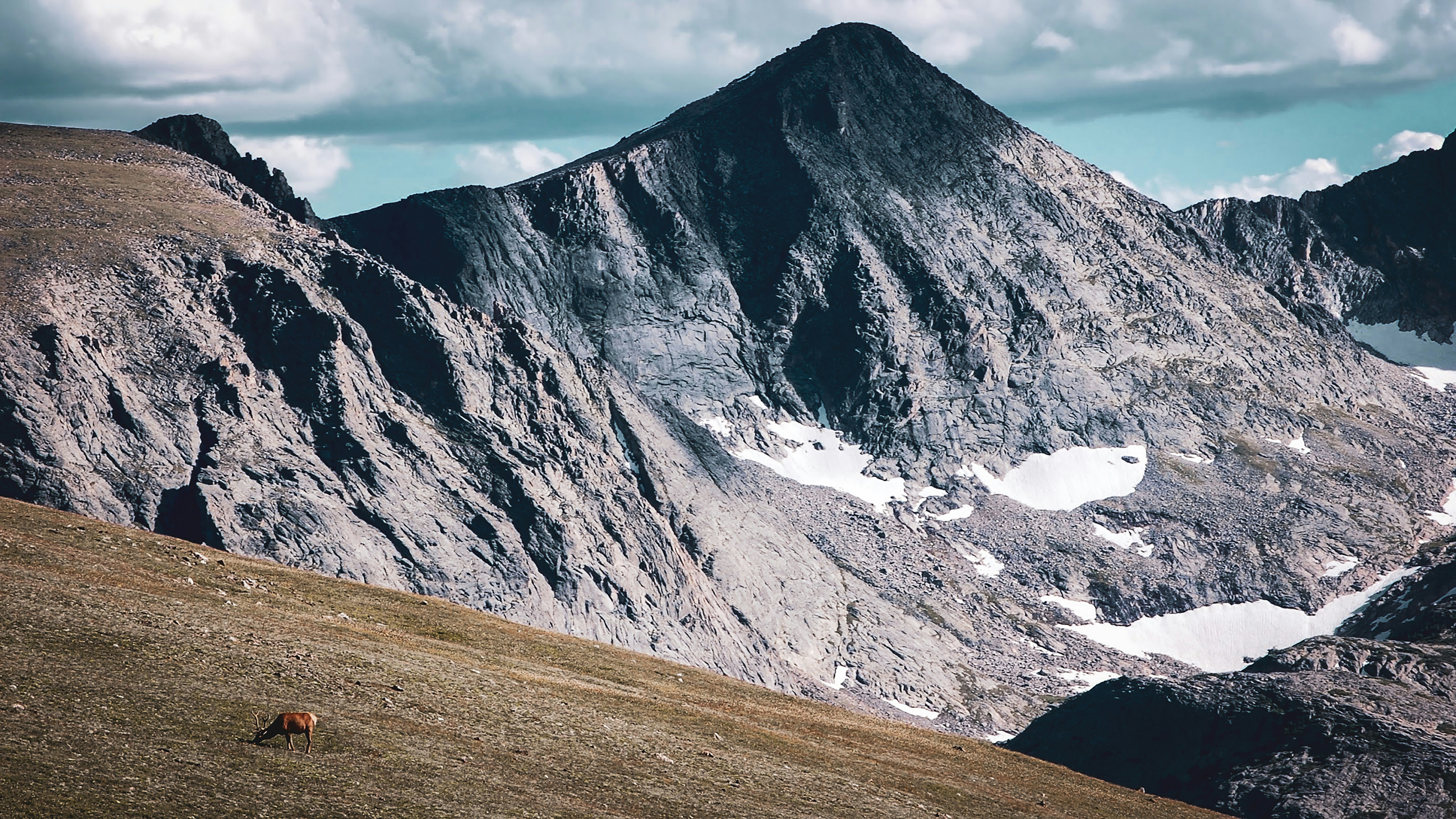 Photo by ethangarvey