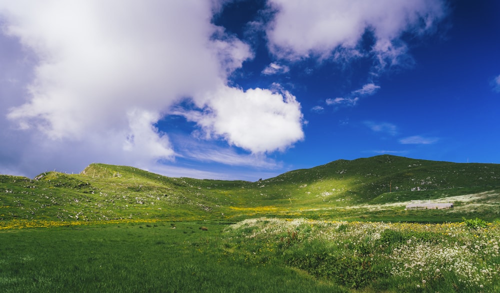 green grass field under blue sky and white clouds during daytime