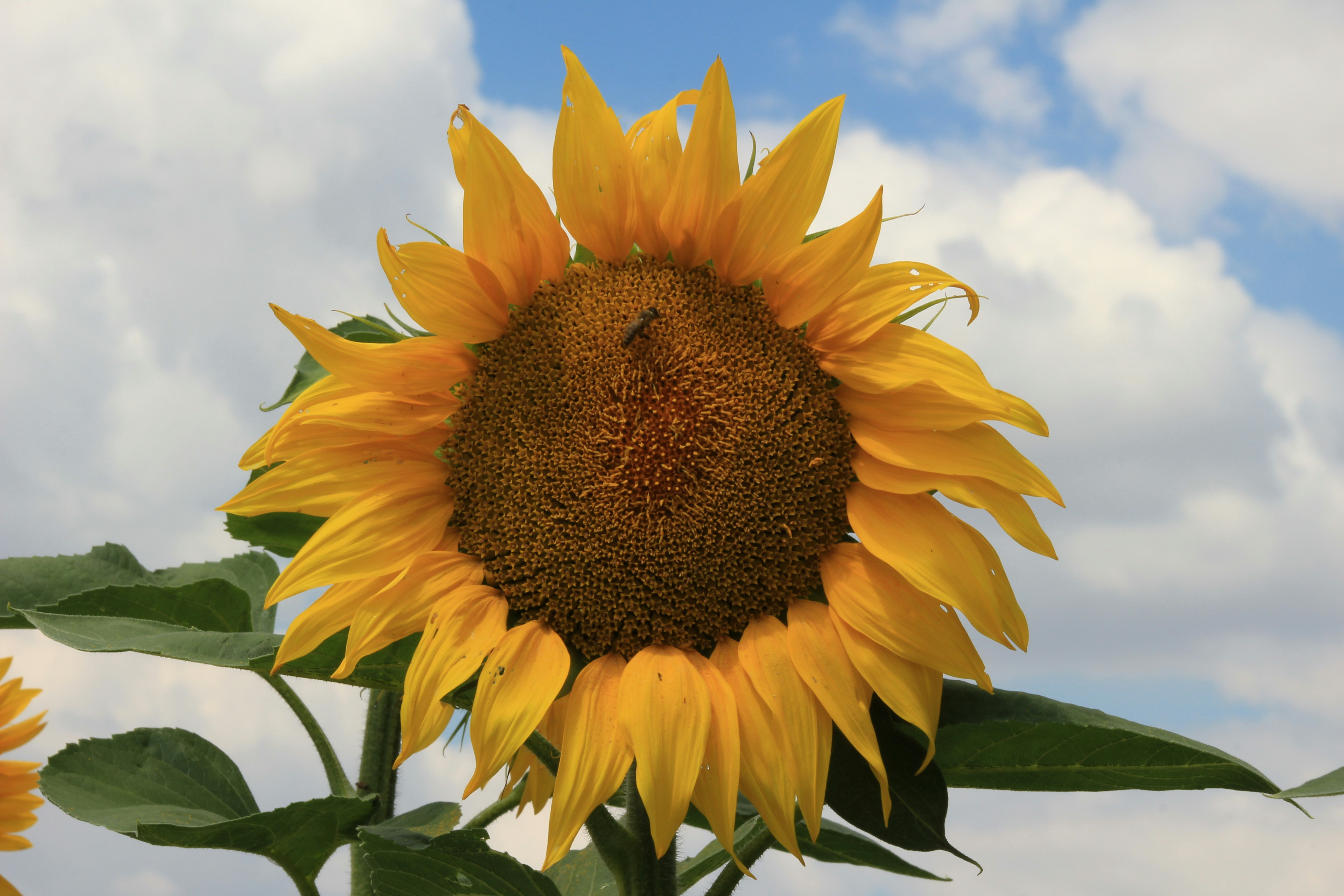 Photo by marjorylucabaxter