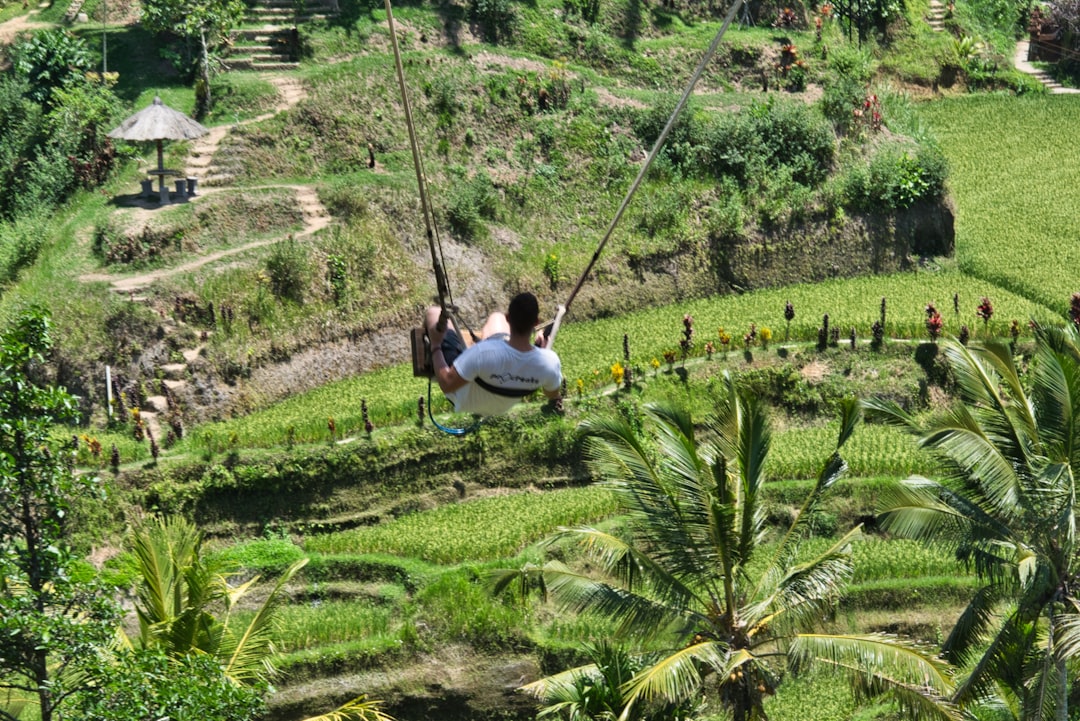 Jungle photo spot Ubud Kabupaten Badung