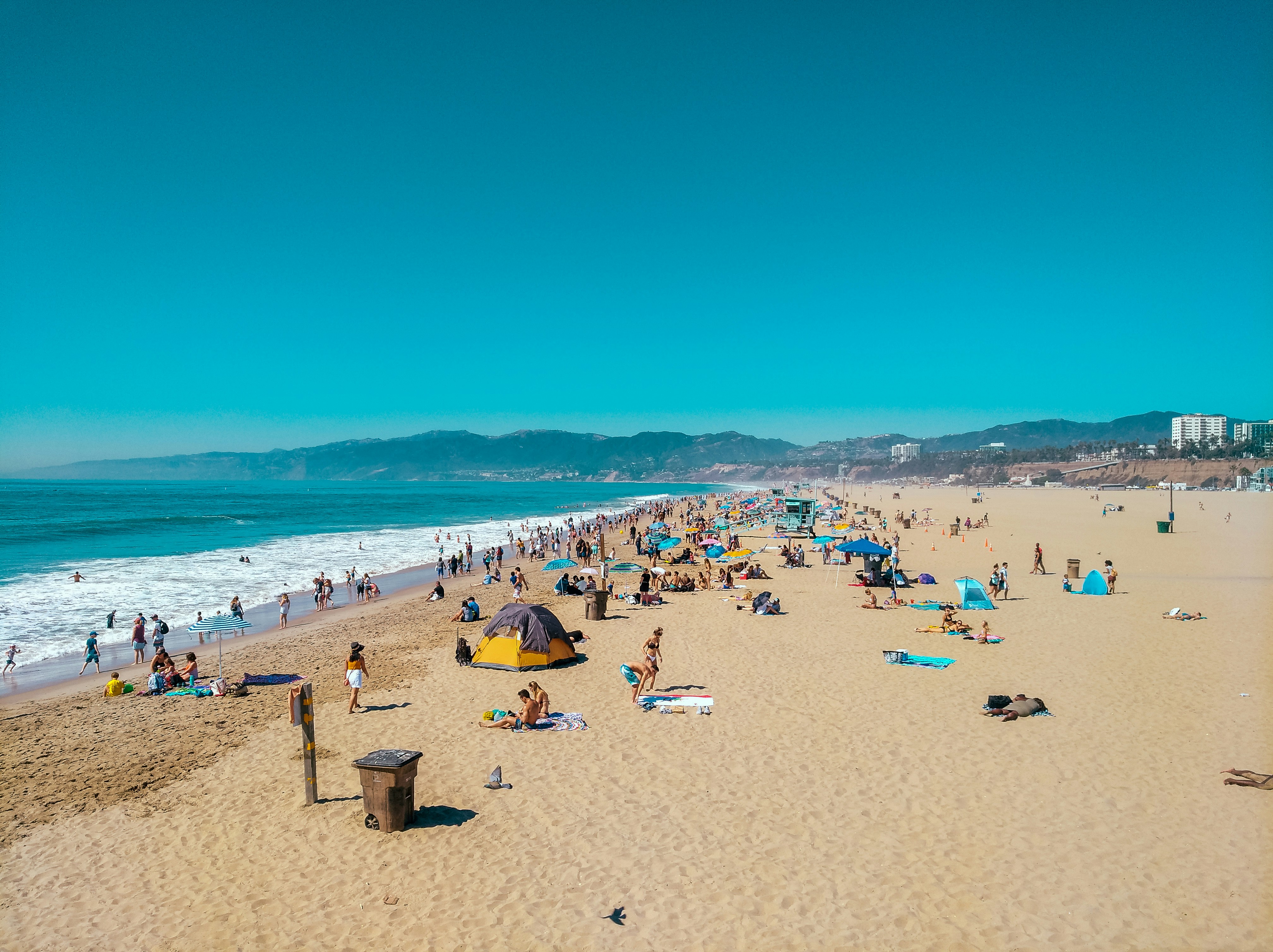 People on beach during daytime.