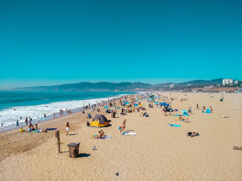 people on beach during daytime