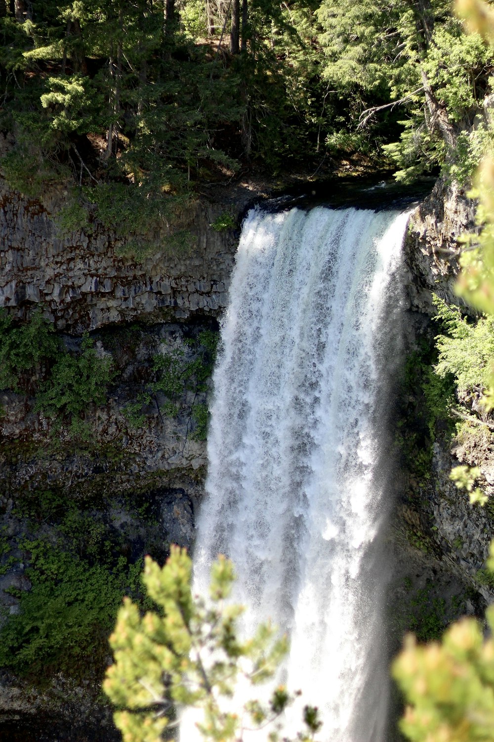 waterfalls in forest during daytime