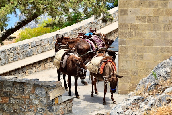 What to See in Rodi: A Practical Travel Guide