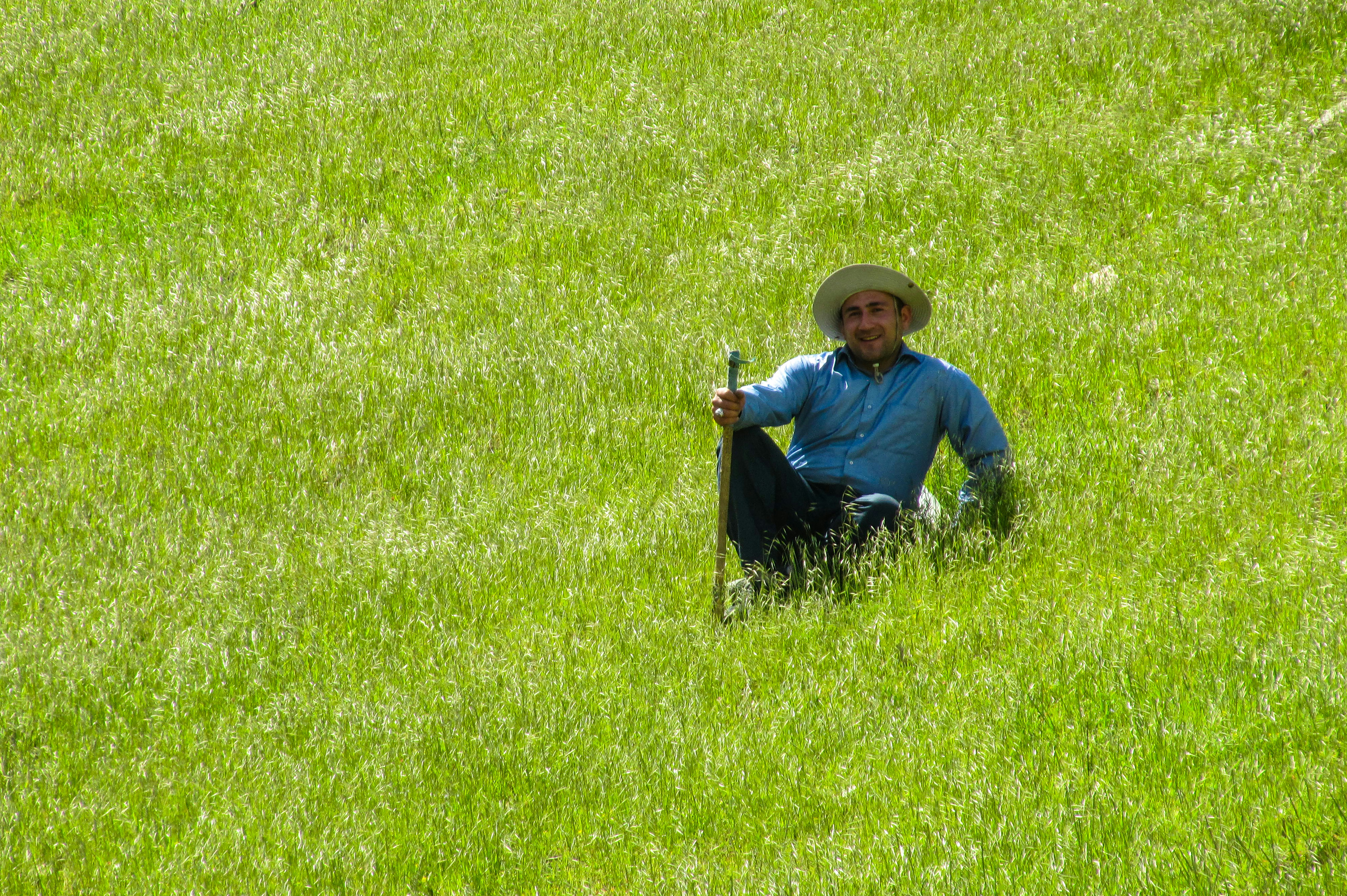 Photo by alirezanazarnia