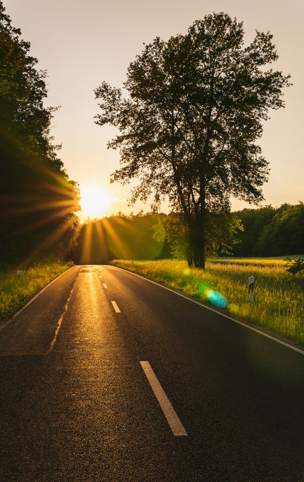 gray asphalt road between green grass field during daytime