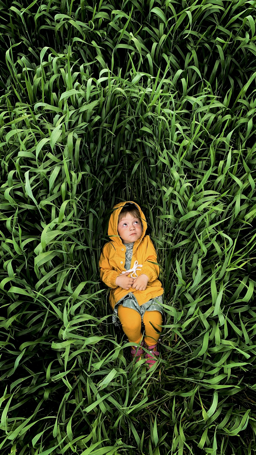 woman in yellow long sleeve shirt and yellow skirt standing on green plants during daytime