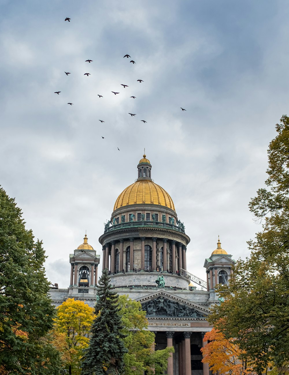 flock of birds flying over brown and white dome building during daytime