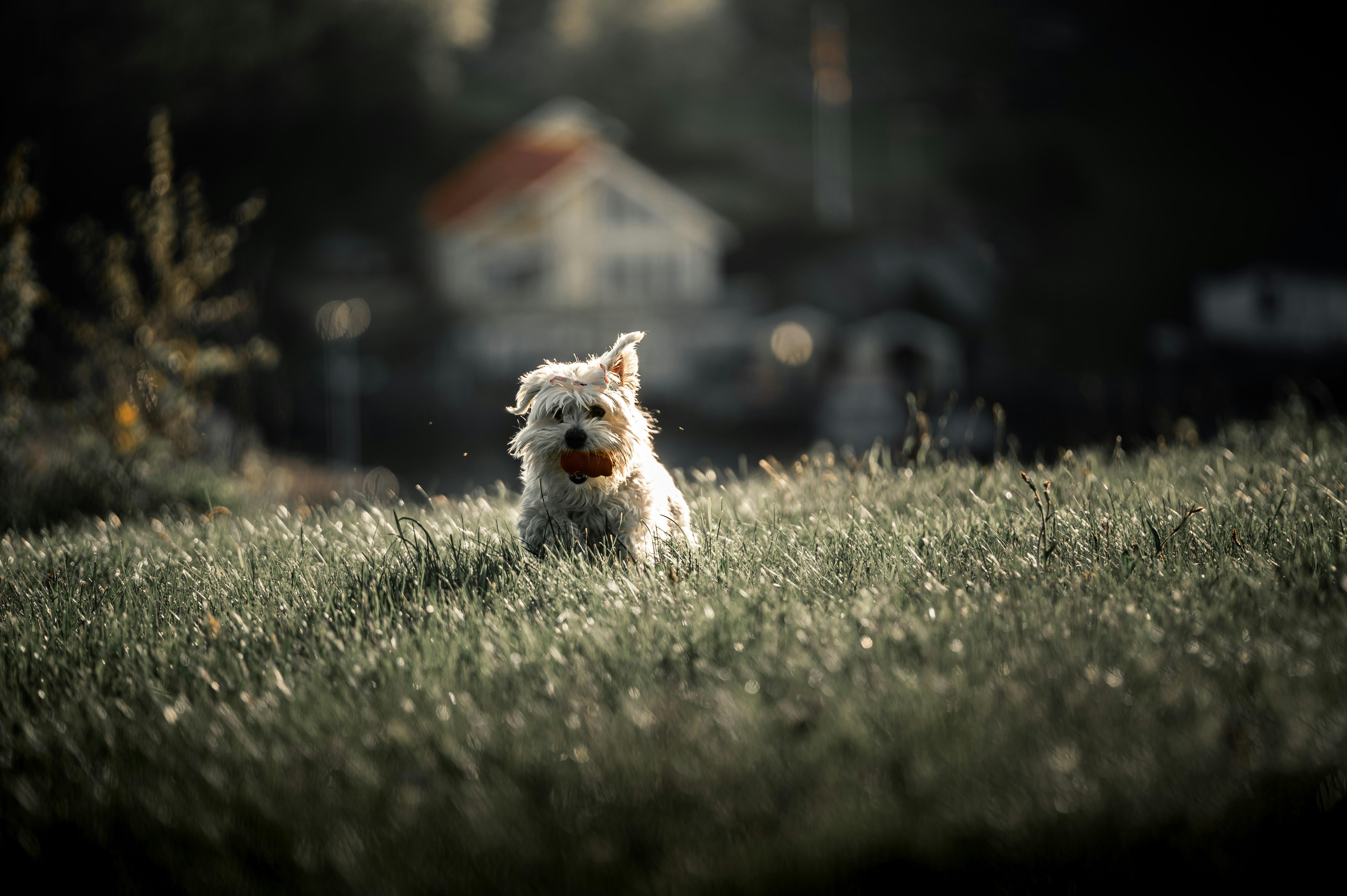 Photo by lachlangowen