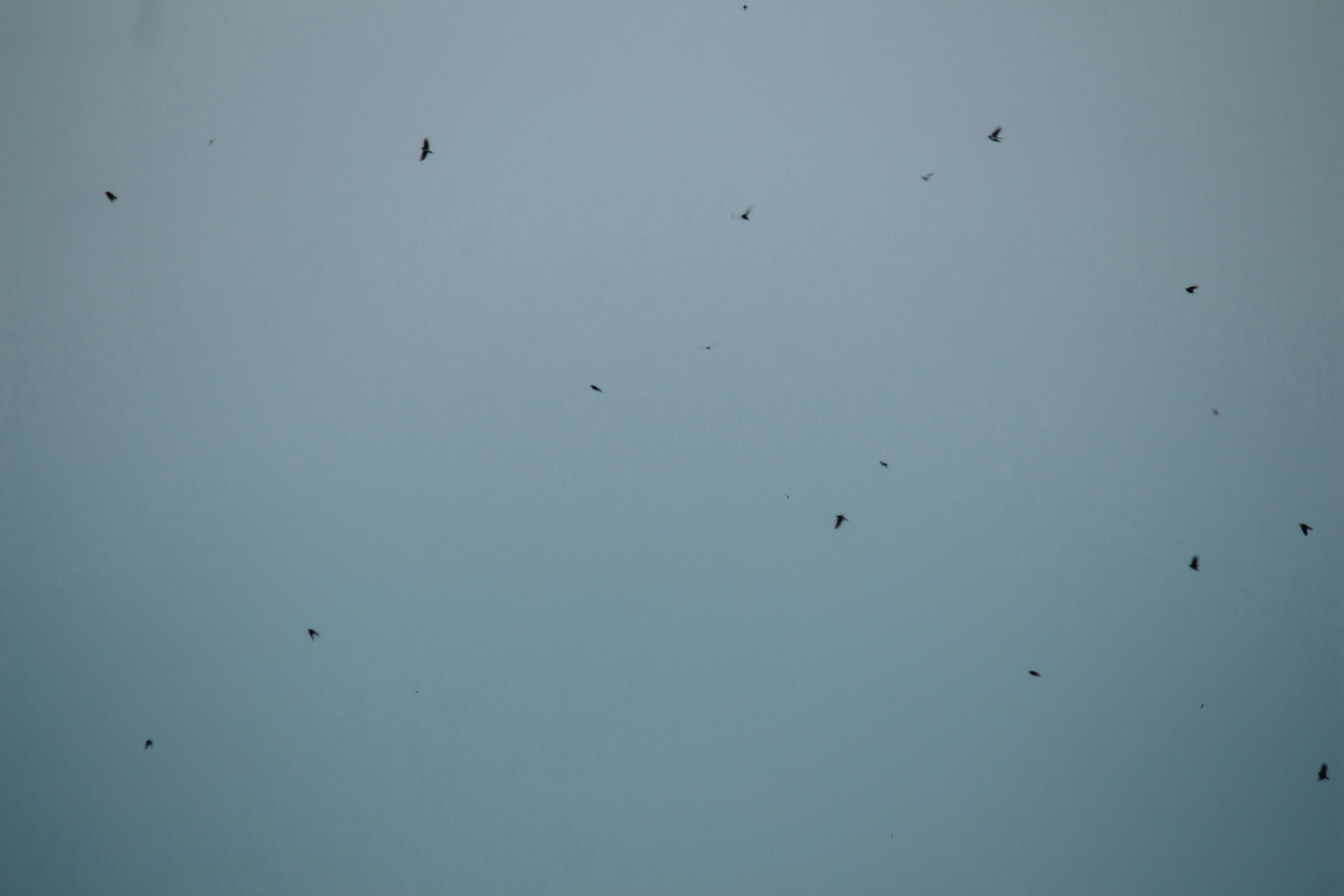 Photo by arunwithideas