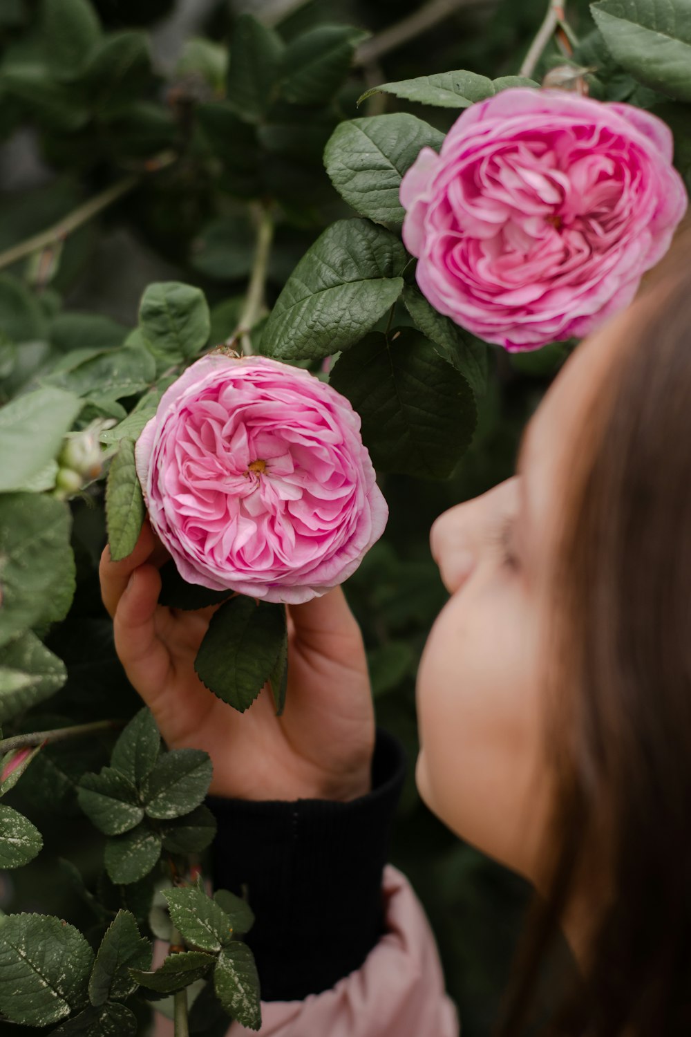 girl holding pink rose in front of girl