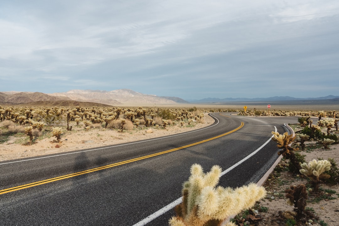 gray asphalt road near brown field under blue sky during daytime