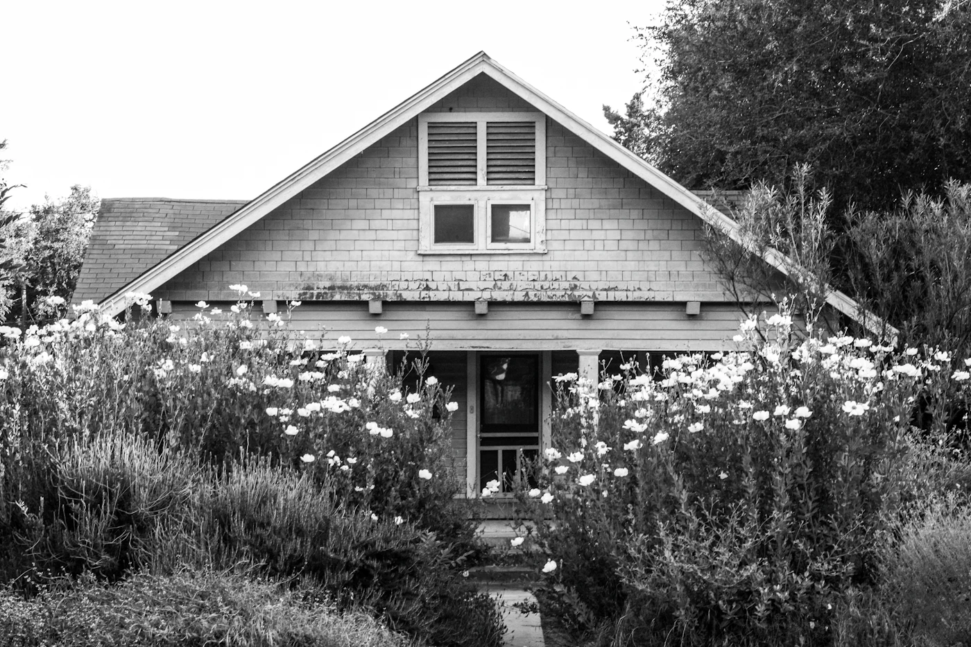 A craftsman-style house with a flower garden in black and white