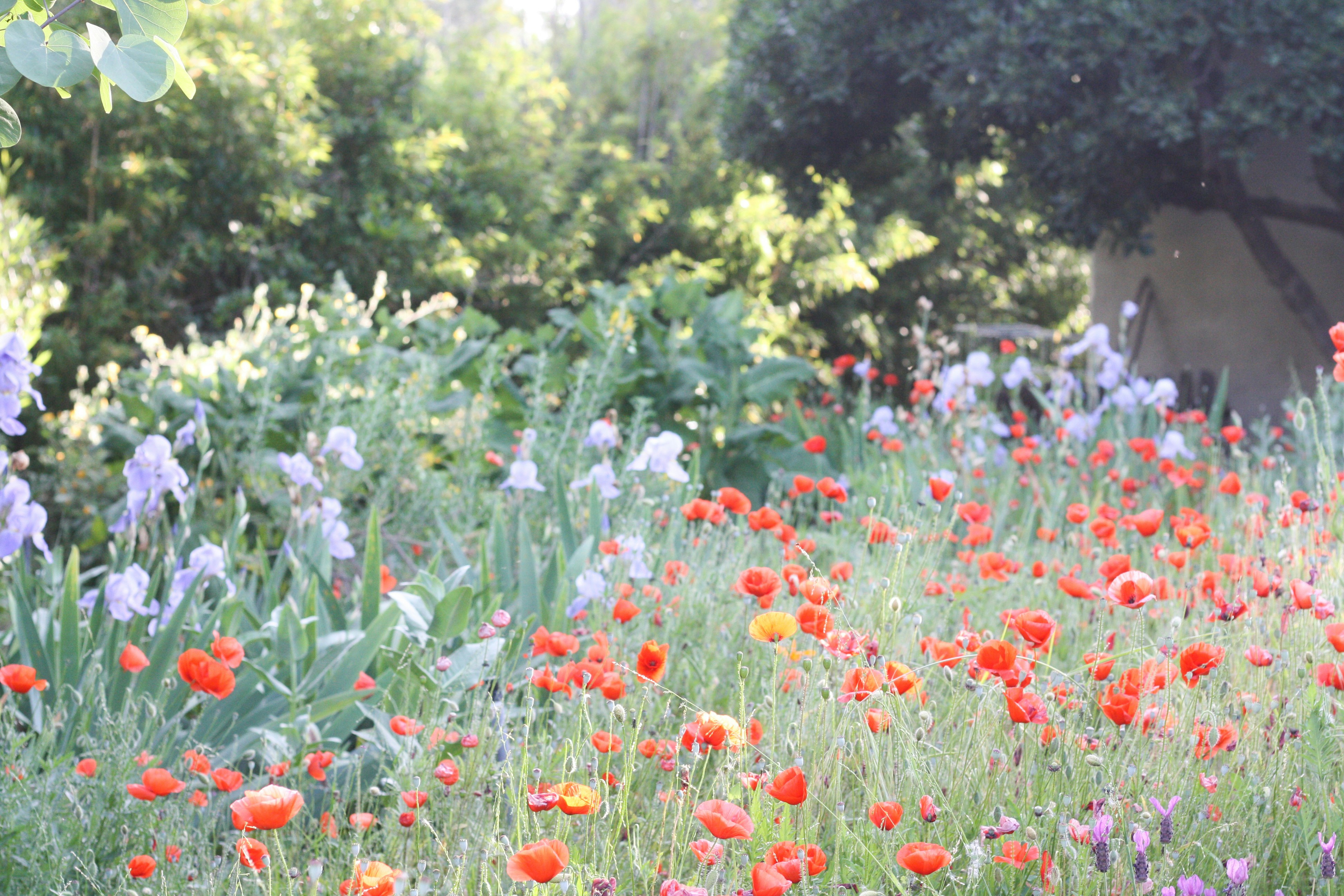 Photo by ramonazepeda