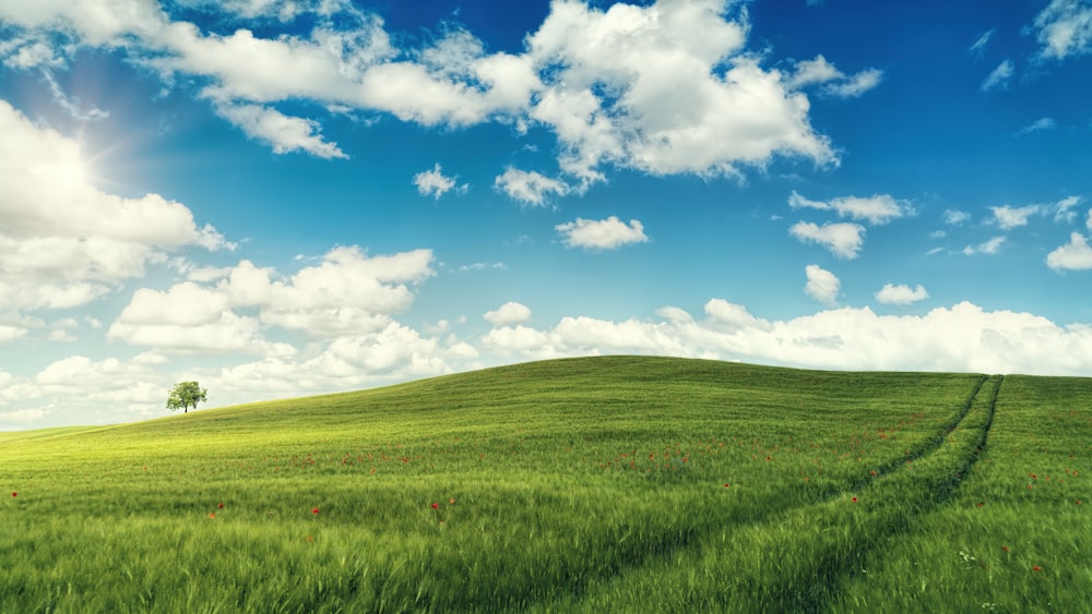 campo de grama verde sob céu azul e nuvens brancas durante o dia