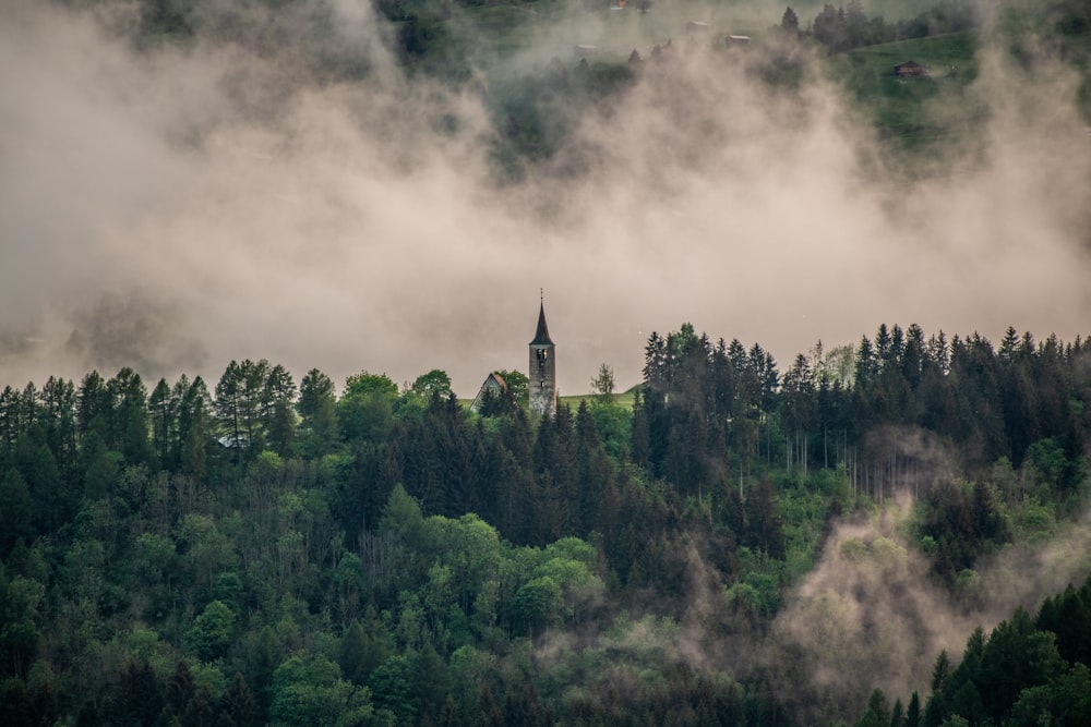 green trees under white clouds